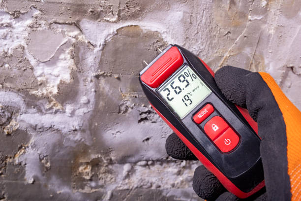 Best Mold Cleaning Services  in French Mp, CA